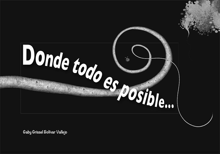 Donde todo es posible...